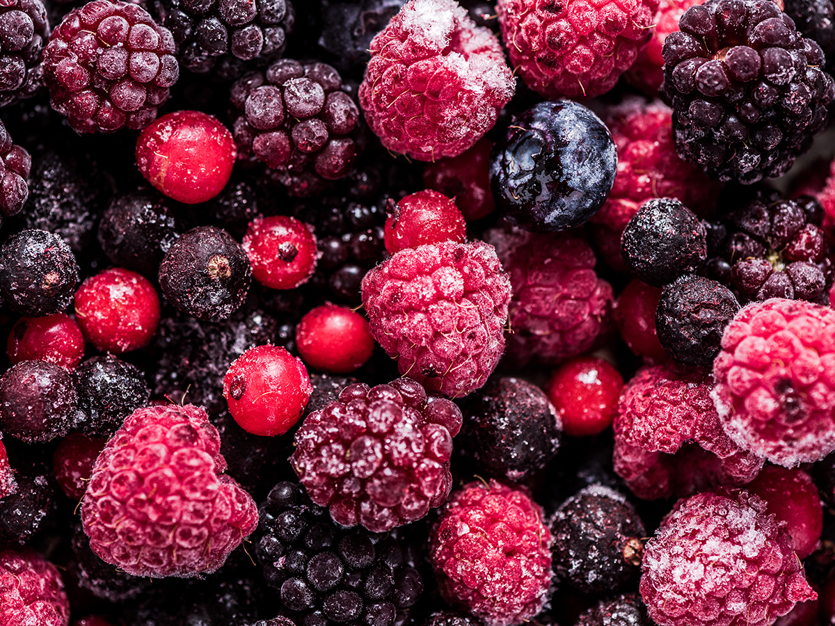 2022年世界杯英格兰阵容packaging for frozen food