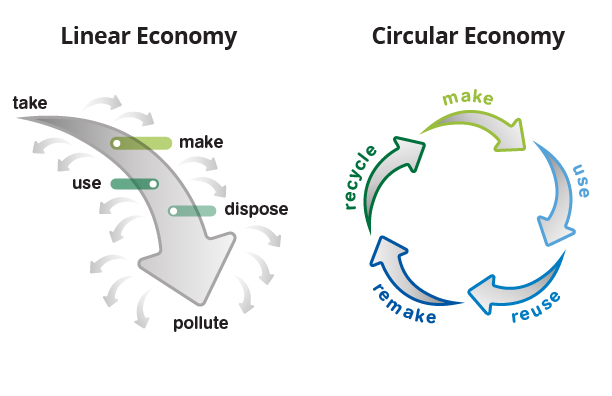 linear vs circular economy